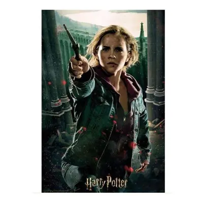 PRIME 3D Puzzle Harry Potter: Hermiona Granger 3D 300 dílků