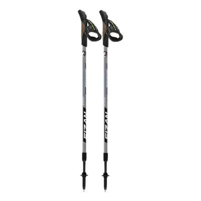 Nordic walking hůlky FIZAN SPEED Black