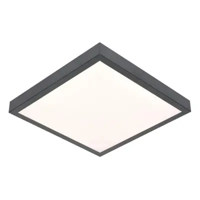 Stropní světlo LED Stropní svítidlo VITALI LED/24W/230V