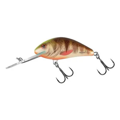 Salmo Wobler Hornet Floating 6cm 10g Spotted Brown Perch