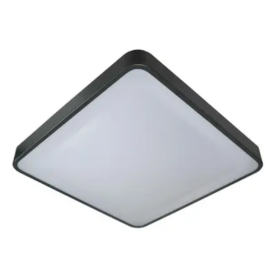 Stropní světlo LED Stropní svítidlo WILTON LED/24W/230V antracit