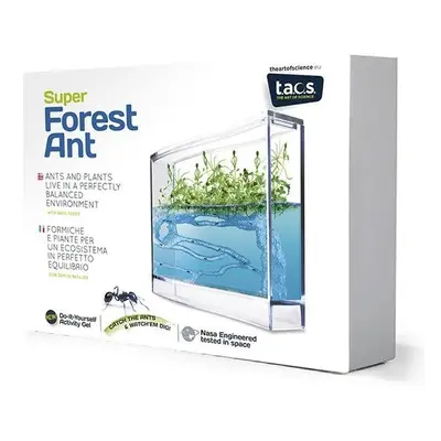 Experimentální sada Super Forest Ant Ecoterrarium