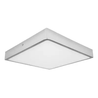 Stropní světlo LED Koupelnové stropní svítidlo EGON LED/30W/230V IP44 4000K