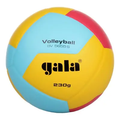 Volejbalový míč Gala Training BV 5655 - 230 g