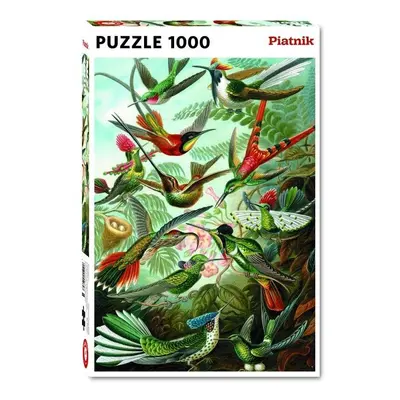 Puzzle Haeckel - Kolibris