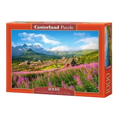 CASTORLAND Puzzle Dolina Gąsienicowa, Tatry 1000 dílků