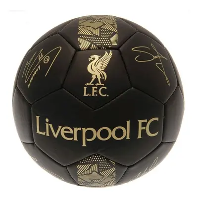 Fotbalový míč Fan-shop Mini Liverpool FC Signature Gold