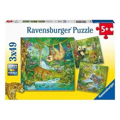 Puzzle Ravensburger 051809 Zvířata v džungli 3x49 dílků