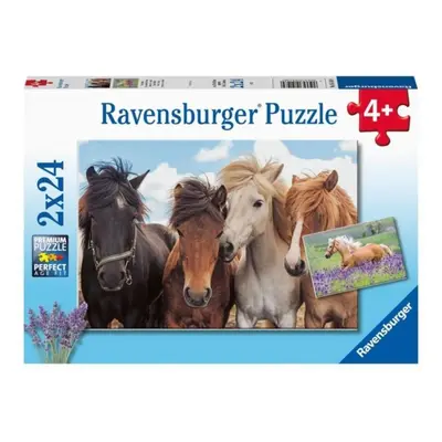 Ravensburger 05148 Fotky koní 2x24 dílků