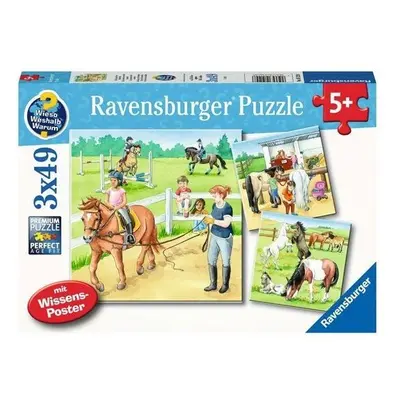 Puzzle Ravensburger 051298 Koně 3x49 dílků