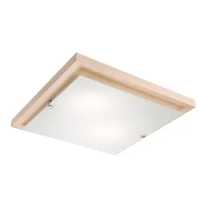 Stropní světlo LED Stropní svítidlo 1xLED/24W/230V