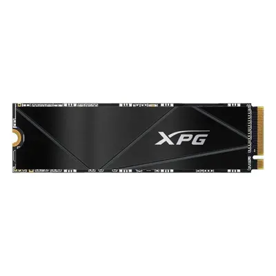 SSD disk ADATA XPG GAMMIX S50 CORE 1TB