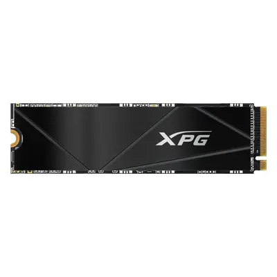 SSD disk ADATA XPG GAMMIX S50 CORE 500GB