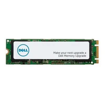 Dell/1TB/SSD/M.2 NVMe/1R