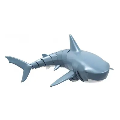 RC model Amewi Sharky RTR