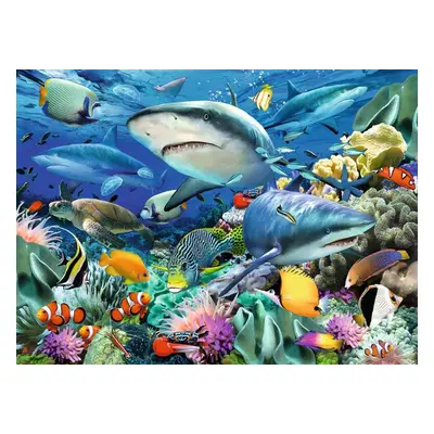 RAVENSBURGER Puzzle Žraločí útes XXL 100 dílků