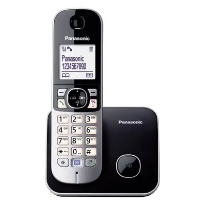 Telefon pro pevnou linku Panasonic KX-TG6811FXM Silver