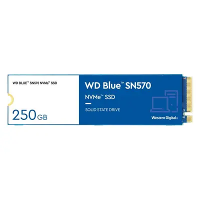 SSD disk WD Blue SN570 250GB