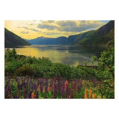 RAVENSBURGER Puzzle Fjord v Norsku 1000 dílků