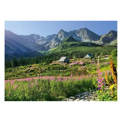 CHERRY PAZZI Puzzle Gąsienicowa dolina, Vysoké Tatry 1000 dílků