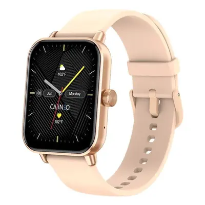 CARNEO Versa HR+ rosegold 8588009299592