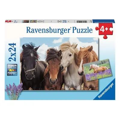 Ravensburger 05148 Fotky koní 2x24 dílků