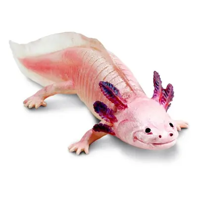 Safari Ltd. Safari Ltd. Axolotl