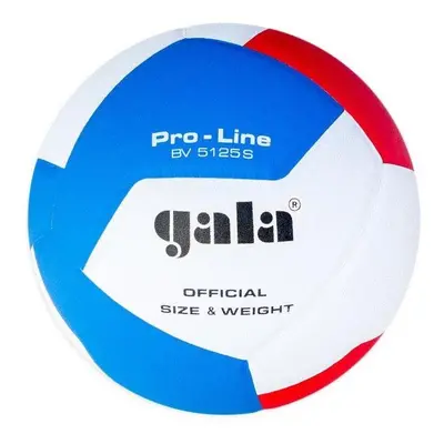 Volejbalový míč Gala Pro Line 12 BV 5125 S