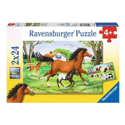 RAVENSBURGER Puzzle Svět koní 2x24 dílků