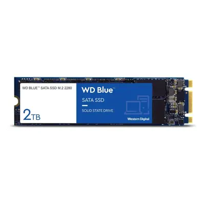 WD Blue SA510 SATA 1TB M.2 WDS200T3B0B-00C7C0