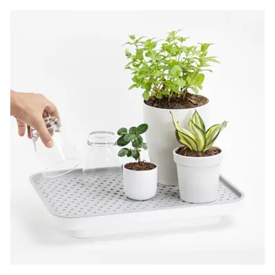 QUALY DESIGN Zavlažovací/odkapávací podnos Oasis Tray 10309