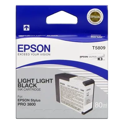 Cartridge Epson T580 světle světlá černá