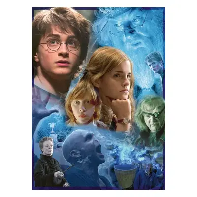 Ravensburger 120002048 Harry Potter v Bradavicích