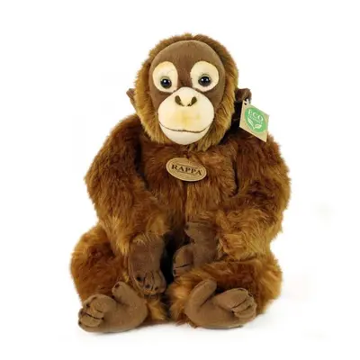 Plyšák RAPPA Plyšová opice orangutan 27 cm, Eco-Friendly