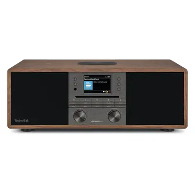 Rádio TechniSat DIGITRADIO 650, wood/anthrazit