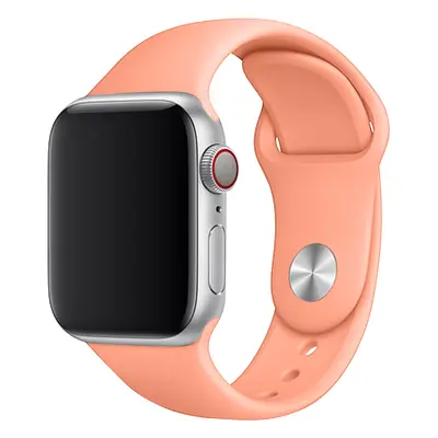 Apple Watch řemínek jednobarevný 38/40/41mm a 42/44/45/46/49mm Barva: 23, Velikost náramku: S (O