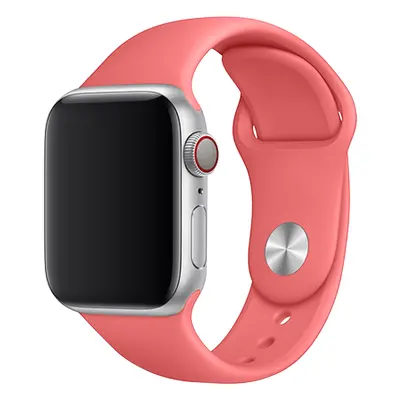 Apple Watch řemínek jednobarevný 38/40/41mm a 42/44/45/46/49mm Barva: 15, Velikost náramku: L (O