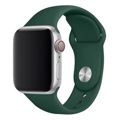 Apple Watch řemínek jednobarevný 38/40/41mm a 42/44/45/46/49mm Barevná varianta: 119, Velikost n