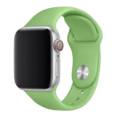 Apple Watch řemínek jednobarevný 38/40/41mm a 42/44/45/46/49mm Barevná varianta: 100, Velikost n