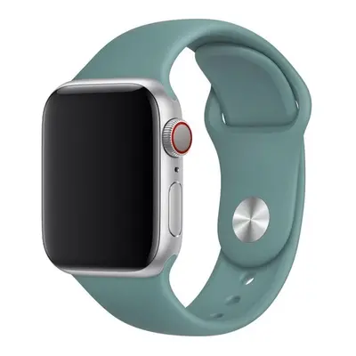 Apple Watch řemínek jednobarevný 38/40/41mm a 42/44/45/46/49mm Barevná varianta: 125, Velikost n