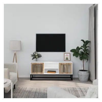 vidaXL TV skříňka bílá 105 x 30 x 45 cm kompozitní dřevo a železo