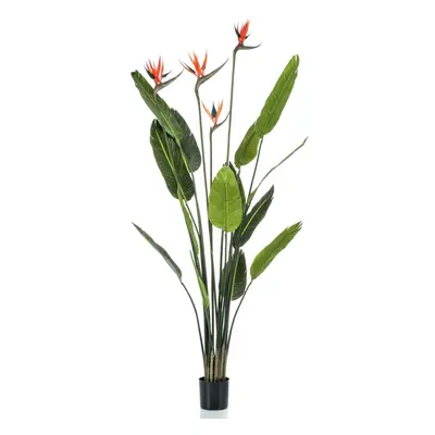 Emerald Umělá Strelitzia 4 rostliny v květináči 150 cm