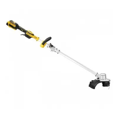 Dewalt DCMST561P1