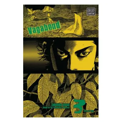 Vagabond (VIZBIG Edition), Vol. 3