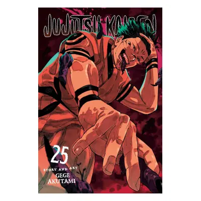 Jujutsu Kaisen, Vol. 25