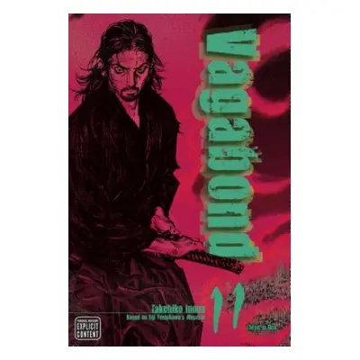 Vagabond (VIZBIG Edition), Vol. 11