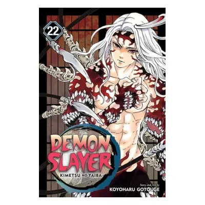 Demon Slayer: Kimetsu no Yaiba, Vol. 22