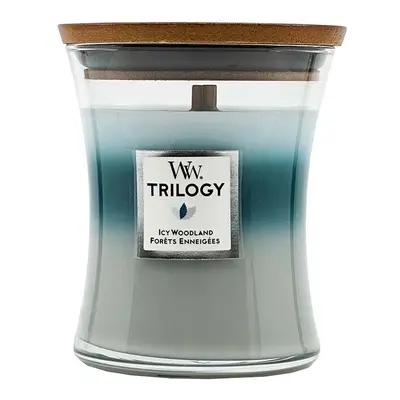 WoodWick Trilogy Medium Hourglass Candle Icy Woodland 275 g