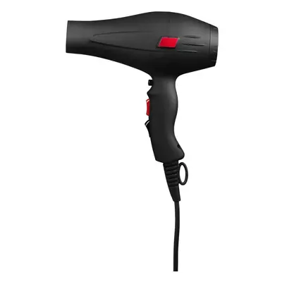 Cera Professional PRO2000-ION Hairdryer