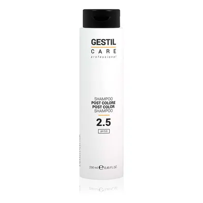 Gestil Care Professional 2.5 Post Color Shampoo 250 ml